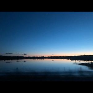 Meet your Posher, Bailey